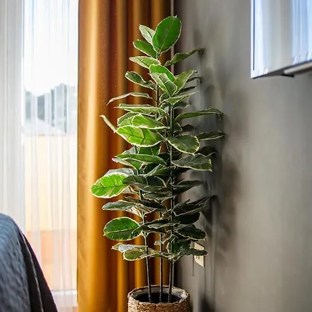 Porporela Apartment *